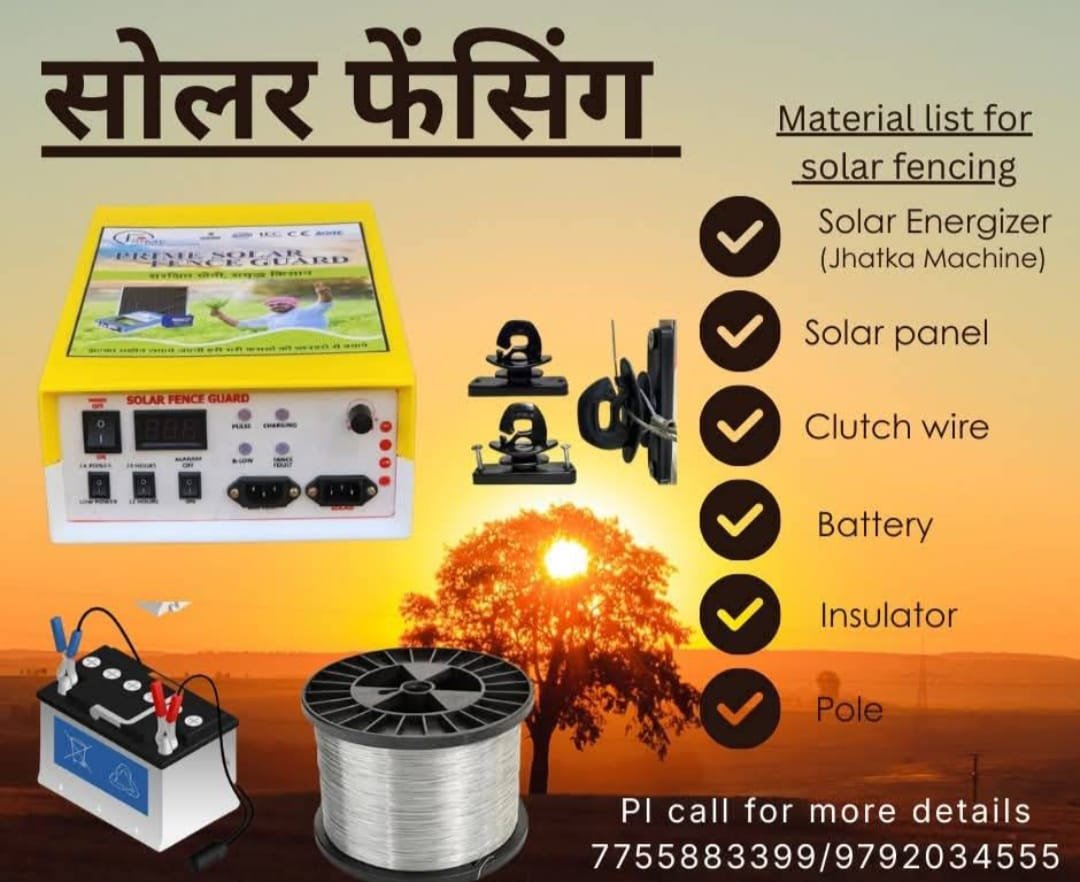 WhatsApp Image 2025-12-21 at 1.37.53 PM (1)